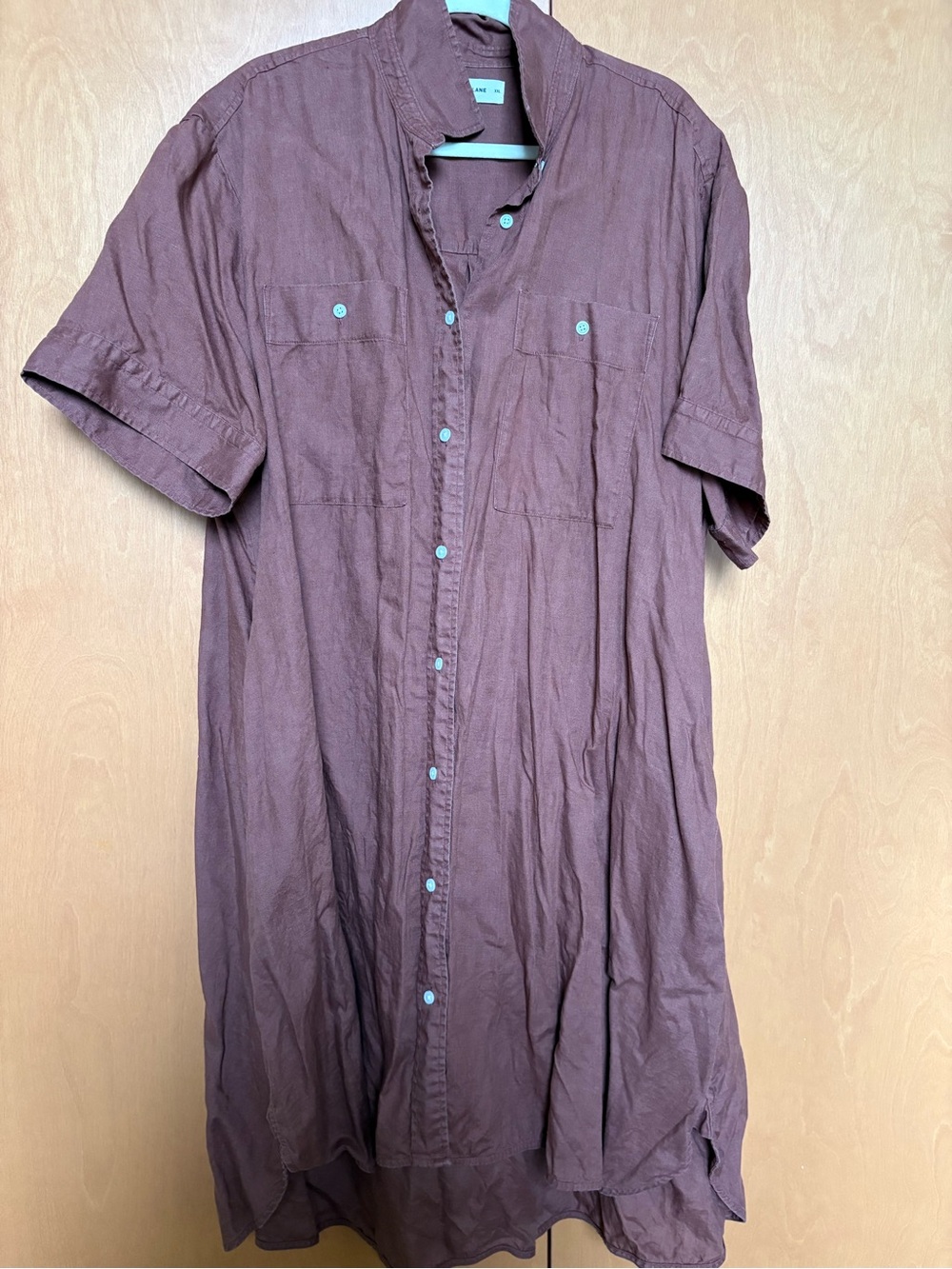 Everlane XXL Day Tripper dress in brown
